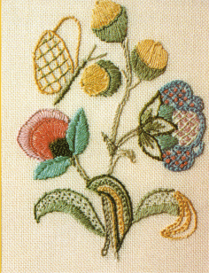 Acorn 