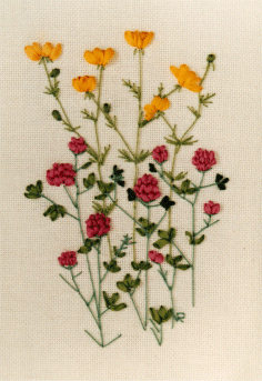 Buttercup and Clover