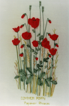 Poppy