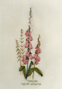 Foxgloves