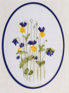 Wild Pansies