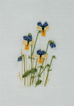 Pansy Card