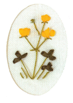 Buttercup Card