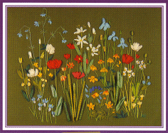 Country Garden