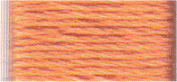 3825 DMC