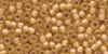 62040 Apricot by Mill Hill