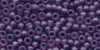 62056 Boysenberry by Mill Hill