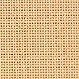 PP18 Cantaloupe