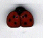  1104.T Tiny Red Ladybug  by Just Another Button Company