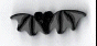 1102.T Tiny Black Bat  by Just Another Button Company 