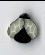 1151.S Small Fly by Just Another Button Company