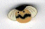 1173.W Wee Country Bee   by Just Another Button Company