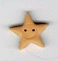 3314.L Large Golden Star 