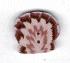 4466.L Large Scallop Shell by Just Another Button Company