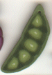 2249 Peas in a Pod by Just Another Button Company