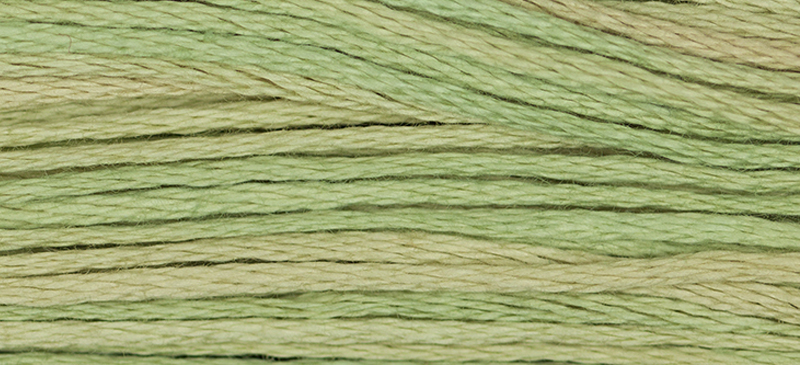 1189 Butter Bean by Weeks Dye Works