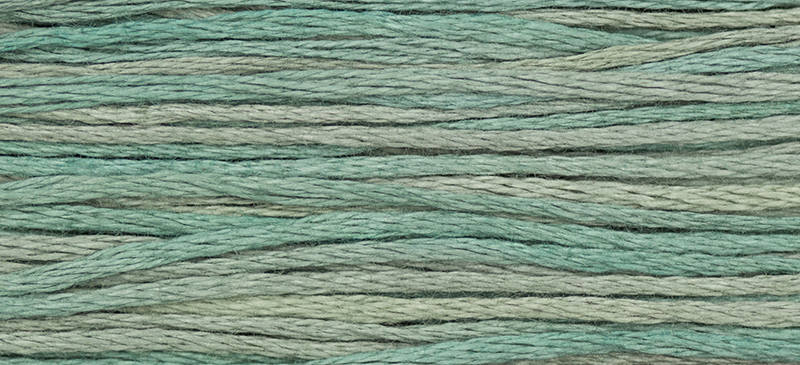 2116 Blue Fescue