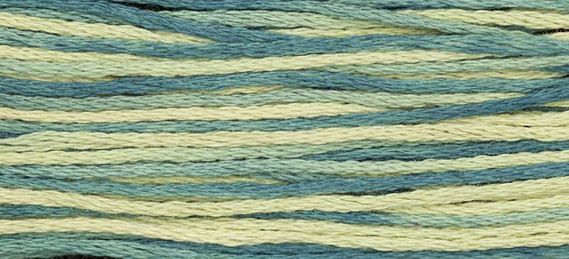2146 Eucalyptus
