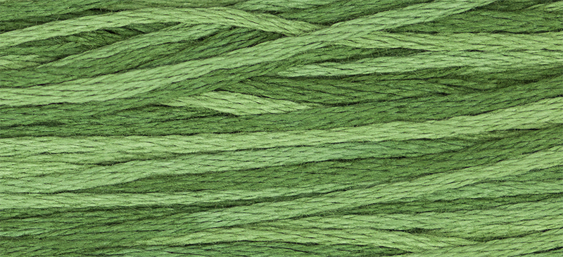 2168 Monkey Grass