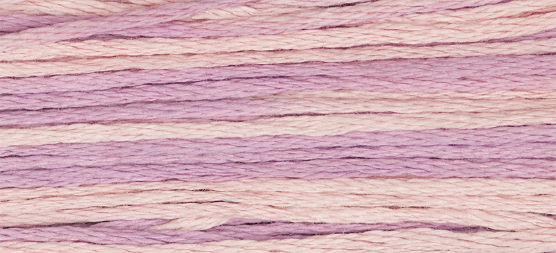 2279 Sweetheart Rose