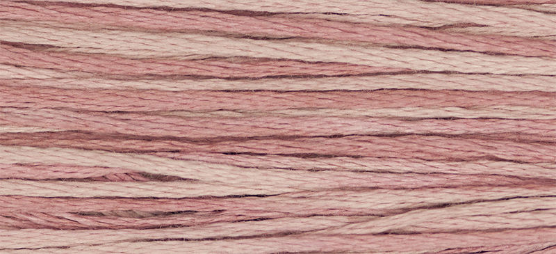 2282 Charlotte's Pink