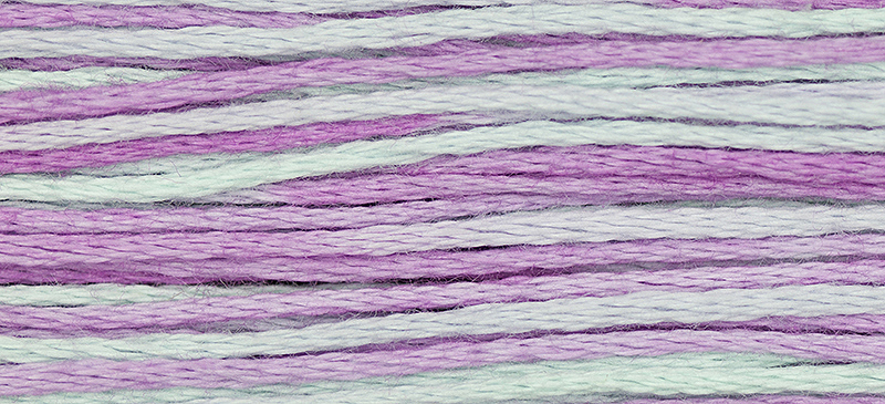 2306 Blue Aster
