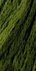 0196 Green With Envy by Gentle Art Sampler Threads