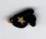 1202.T Tiny Raven Birdie  by Just Another Button Company 