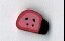  1196 Small Side -view Ladybug. by Just Another Button Company