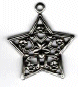 20119 Large Star AS