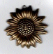 95021 Sunflower AG