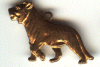60029 Lioness BR