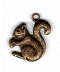 25004 Squirrel AG