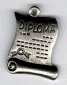15285 Diploma AS