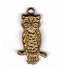 70028 Owl BR