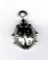 12028 Ladybird AS