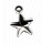 12070 Star AS