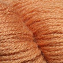 884 Ginger  - 8yd skein