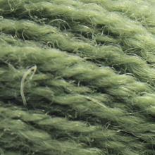 603 Forest Green   - 8yd skein