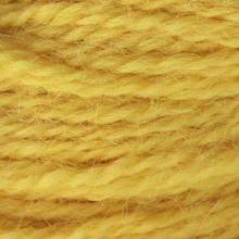 703 Butterscotch - 8yd skein