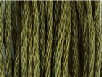 Bean Sprout by Classic Colorworks