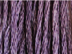 Blooming Crocus by Classic Colorworks