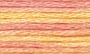  4100 Summer Breeze DMC Variations 