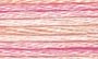 4170 Whispering Wind DMC Variations 
