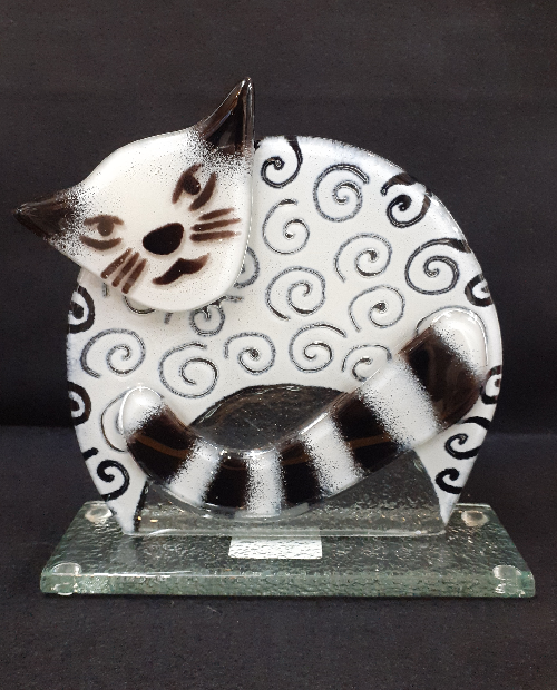 Cat : White :1488-16 by Nobile'