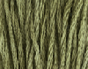 Eve's Leaves by Classic Colorworks 