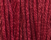 Holly Berry by Classic Colorworks   