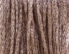 Little House Brown by Classic Colorworks   