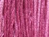 Prickly Pear by Classic Colorworks   