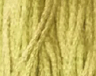 Tomatila  by Classic Colorworks  